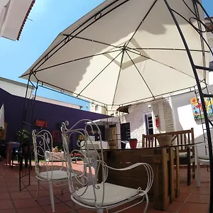 Purple House São Paulo